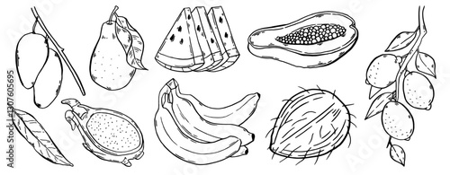 Tropical fruits set. Hand drawn collection summer food. Fresh banana, coconut, mango, dragon fruit, lemon, pear and watermelon. Sketch style exotic food. Vector illustration