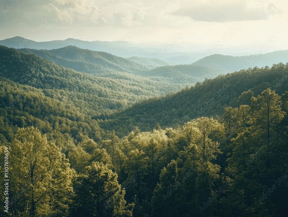 Fototapeta premium Mountain Range Landscape with Trees