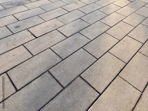 A closeup image of a textured, paved pathway prominently showcasing intricate block patterns and their shadows