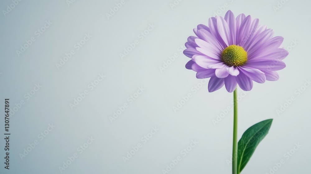 A vibrant purple flower is prominently displayed in sharp focus, contrasting with a serene and blurred green setting A vibrant purple flower is prominently displayed in sharp focus, contrasting with a serene and blurred green setting
