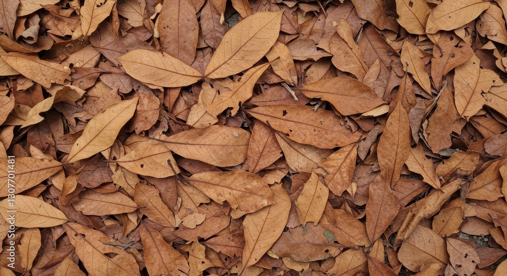 Autumn Brown Leaves Ground Cover - Close-up view of a ground covered with many dried brown leaves. Perfect for autumnal backgrounds Autumn Brown Leaves Ground Cover - Close-up view of a ground covered with many dried brown leaves. Perfect for autumnal backgrounds