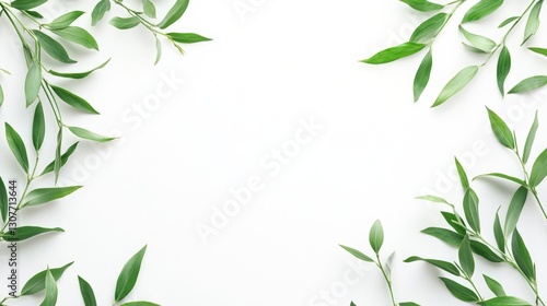 Wallpaper Mural Minimalist greenery border with lush leaves on white background, space for text Torontodigital.ca