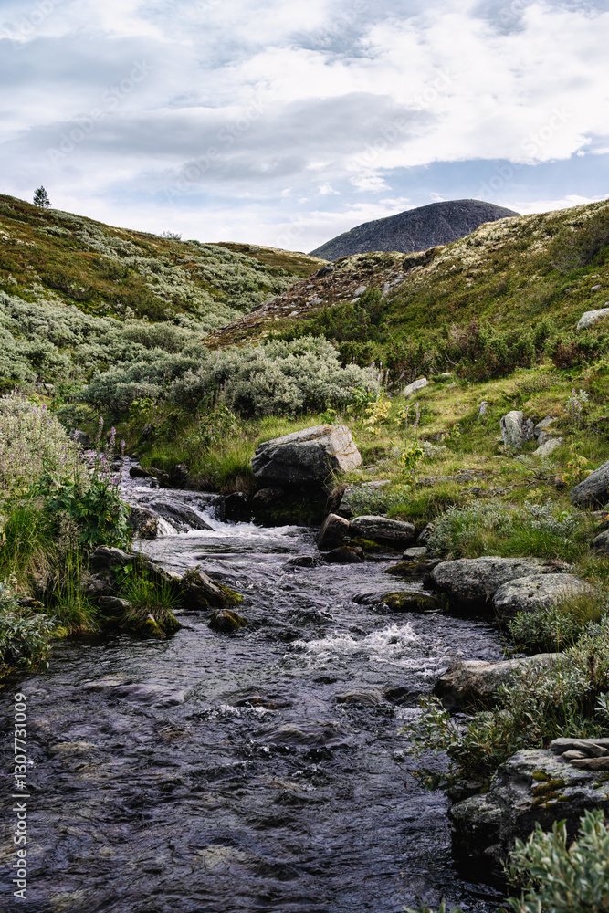 A mountain stream meanders through the rugged tundra wilderness in Rondane National Park in Norway, with the peak of Mount Muen in the background under an cloudy sky A mountain stream meanders through the rugged tundra wilderness in Rondane National Park in Norway, with the peak of Mount Muen in the background under an cloudy sky