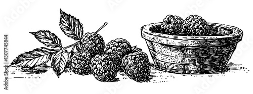 Detailed engraving showcasing plump blackberries resting beside a rustic wooden pot, evoking a sense of nature's bounty