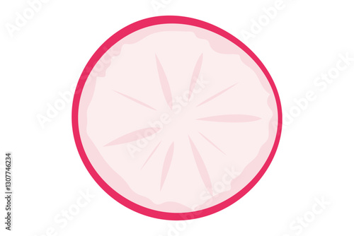 Radish slice. Round slice of radish sliced ​​on a transparent background, top view