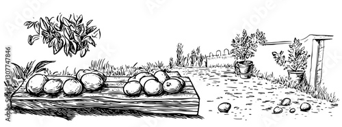 Orchard bounty resting on a rustic wooden table under the gentle sun in a serene garden setting
