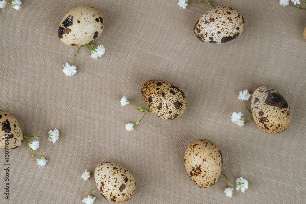 Quail eggs with white flowers on fabric. Natural healthy food and organic farming concept. Quail eggs with white flowers on fabric. Natural healthy food and organic farming concept.