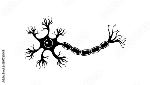 Human sensory neuron, black isolated silhouette