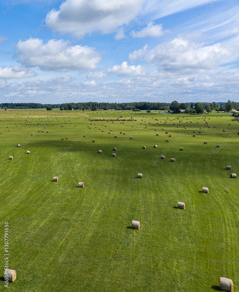 Summer landscape in the countryside of Latvia. Meadow with rolls of hay in Latgale. Summer landscape in the countryside of Latvia. Meadow with rolls of hay in Latgale.