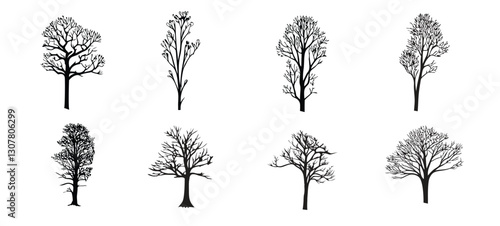 set of black silhouettes of trees isolated on a white background