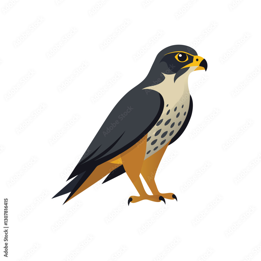 falcon on white background falcon on white background