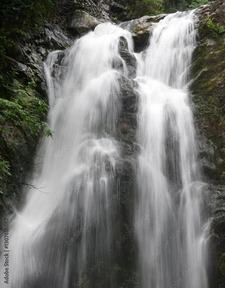 Obraz premium Located in Yalova, Turkey, Sudusen Waterfall is one of the protected areas of the region.