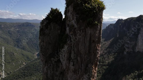 Sardinian mountains in spring evergreen trees