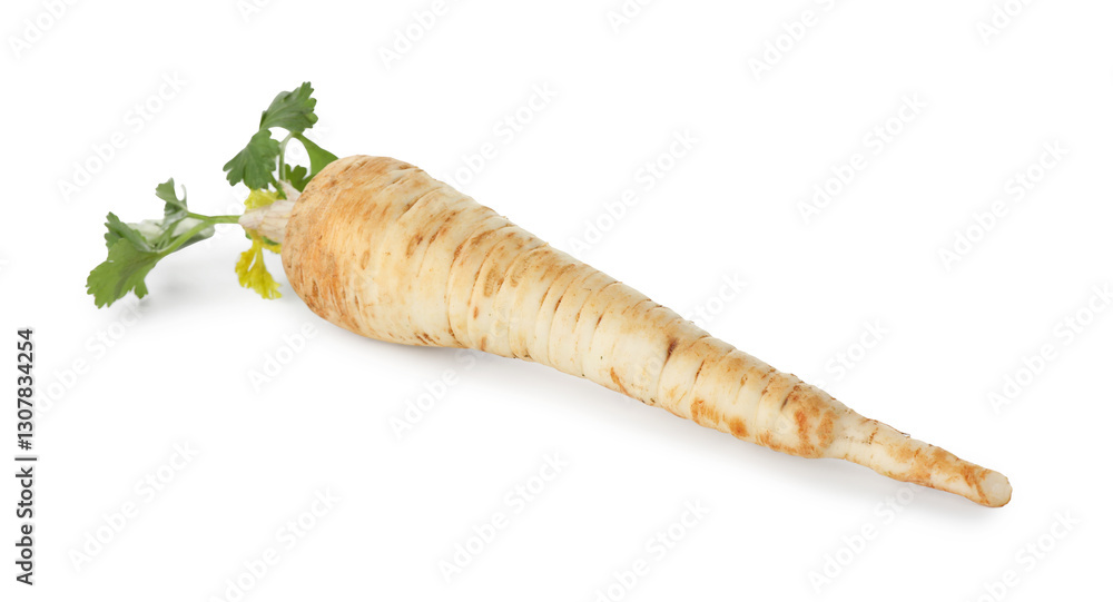 One fresh parsley root isolated on white One fresh parsley root isolated on white