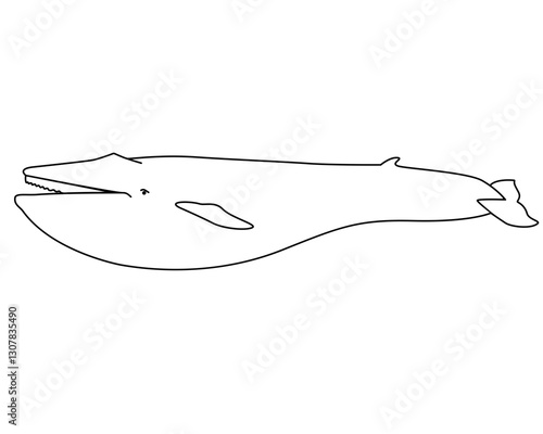 Blue whale - marine mammal - vector linear picture for coloring. Blue whale - the largest mammal, marine illustration. Outline. Hand drawing - coloring book.	