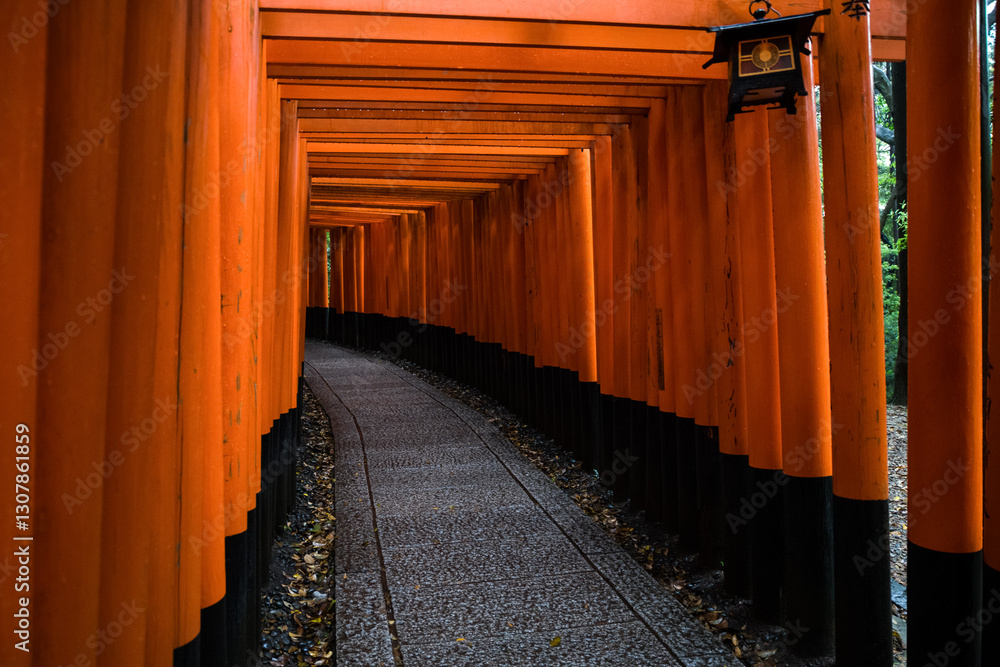 A pathway lined with thousands of vermilion torii gates leading up Mount Inari, Japan. A pathway lined with thousands of vermilion torii gates leading up Mount Inari, Japan.