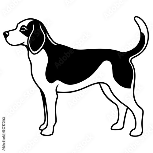 a black and white illustration of a Beagle, dog with a sleek coat and a perky tail, vector illustration