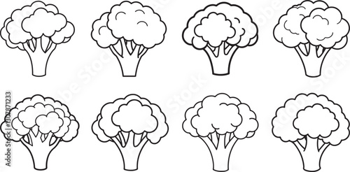 set of broccoli line art, black outline, vector and illustration, coloring book page line art drawing