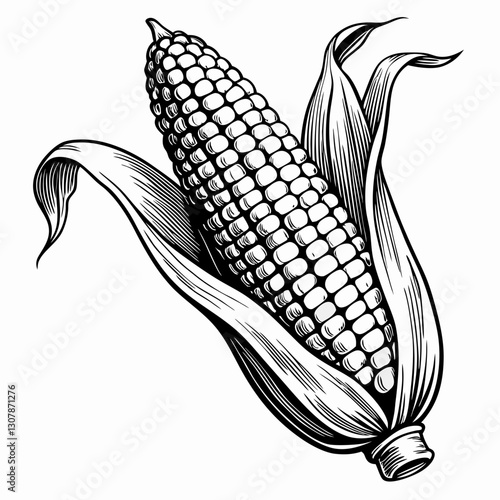 close-up illustration of a corn on the cob with details of the husk, the kernels, and the texture vector illustration