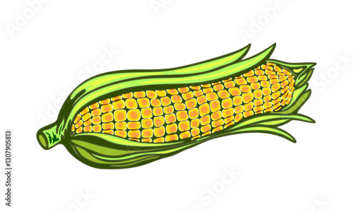 Colorful vector illustration of corn on the cob. Cartoon-style corn  digital artwork illustration with bright yellow kernels