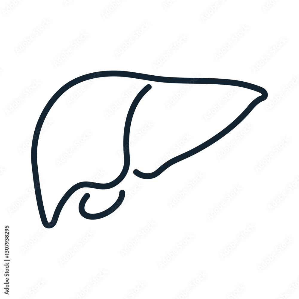 Human liver outline icon vector illustration Human liver outline icon vector illustration