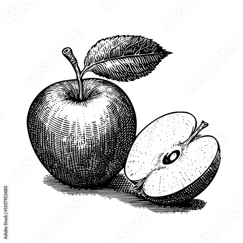 Engraved apple illustration showcasing detailed textures and classic design in vintage style for tattoo art enthusiasts