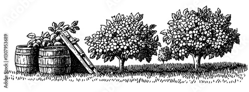 Engraved illustration of vintage lemon trees and wooden barrels in a lush orchard setting for tattoo artistry