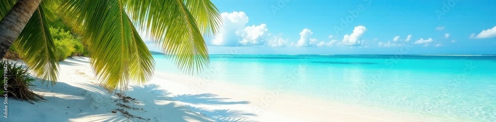 Clear, shallow aqua water over white sand bottom; palm fronds in distance , clear, nature, holiday Clear, shallow aqua water over white sand bottom; palm fronds in distance , clear, nature, holiday