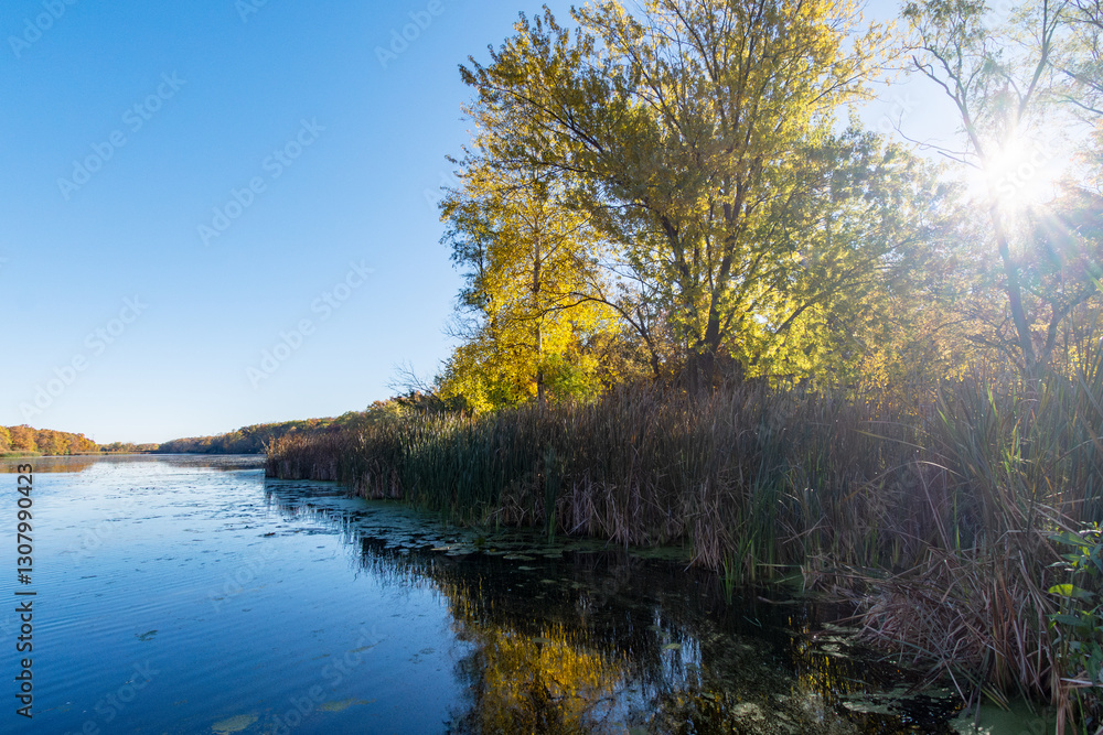 The late October sun highlights the fall foliage on a pond in Wisconsin. The late October sun highlights the fall foliage on a pond in Wisconsin.