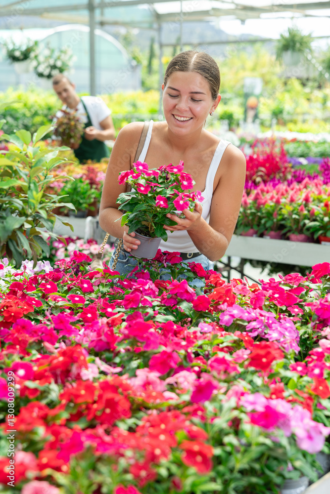 Portrait of satisfied woman with Vinca flowers in a flower pot Portrait of satisfied woman with Vinca flowers in a flower pot