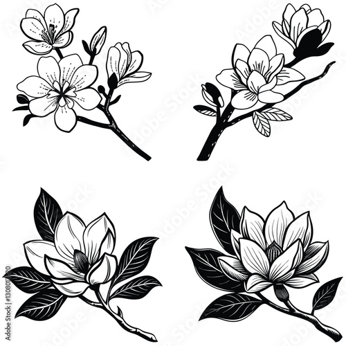 Vector magnolia flower set silhouette