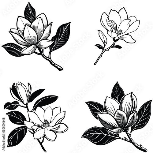 Vector magnolia flower set silhouette