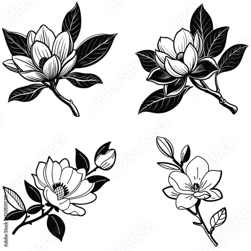 Vector magnolia flower set silhouette