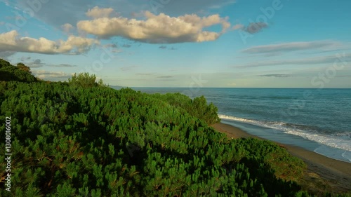 Wallpaper Mural In The Tree Canopy Of An Island With Ocean Waves Crashing On The Shore In Sicily Torontodigital.ca