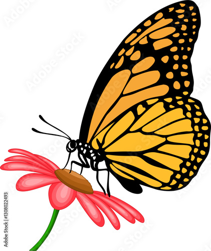 Butterfly eating nectar from flower illustration 
