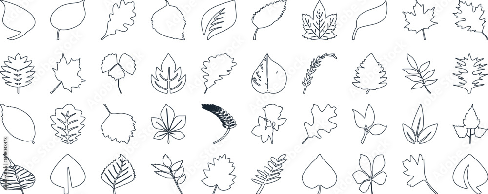 Leaf silhouettes, vector collection, diverse leaves shapes, nature elements. Ideal for eco friendly brand aesthetics, botanical illustrations, educational materials, artistic designs Leaf silhouettes, vector collection, diverse leaves shapes, nature elements. Ideal for eco friendly brand aesthetics, botanical illustrations, educational materials, artistic designs