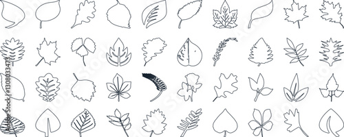 Leaf silhouettes, vector collection, diverse leaves shapes, nature elements. Ideal for eco friendly brand aesthetics, botanical illustrations, educational materials, artistic designs