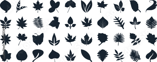 Leaf silhouettes, vector collection, diverse leaves shapes, nature elements. Ideal for eco friendly brand aesthetics, botanical illustrations, educational materials, artistic designs