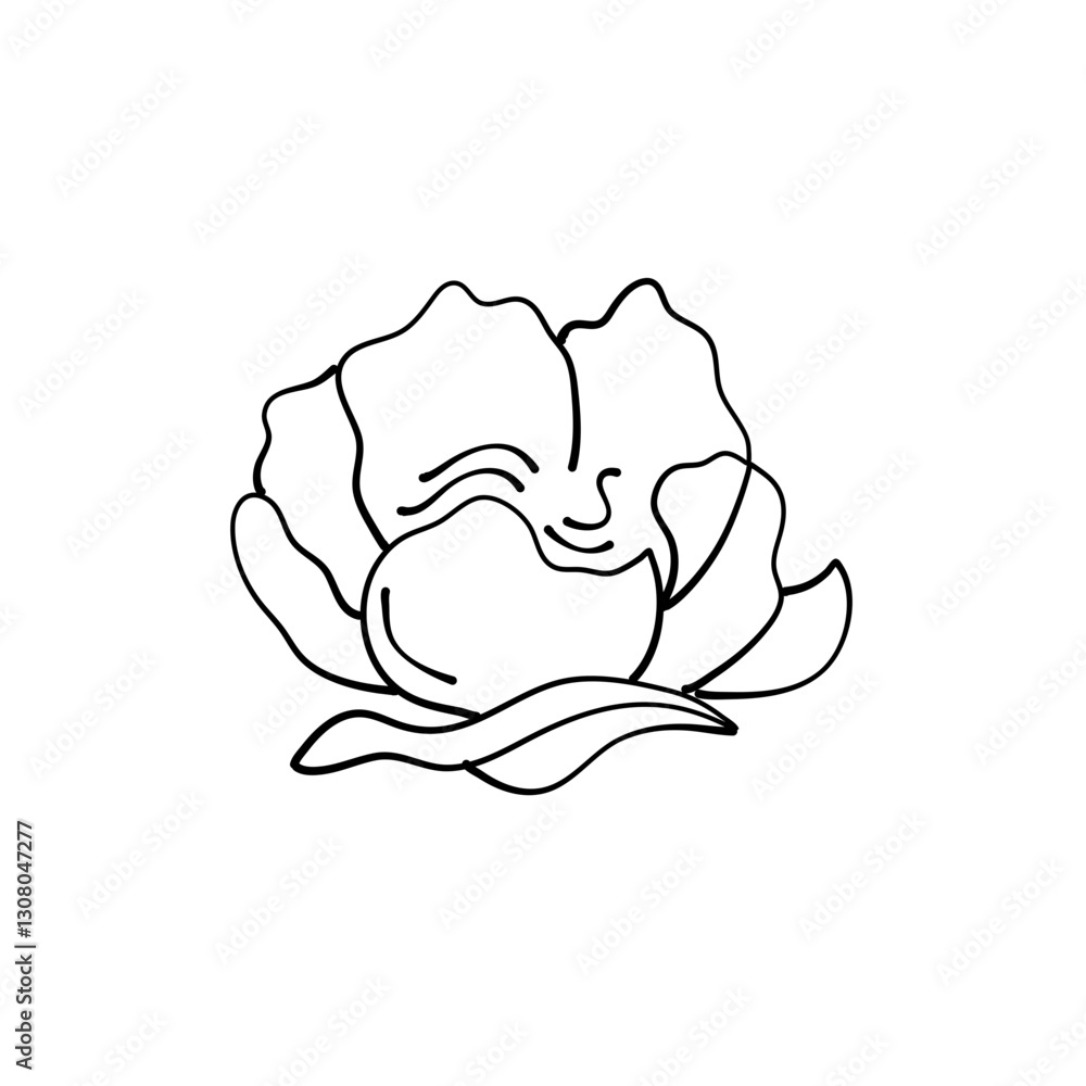 Obraz premium simple delicate hand drawn flowers 
