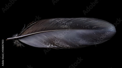 Black Feather: A glossy feather from a bird, often representing mystery and protection, guiding one on spiritual journeys and offering insight and strength.
 photo