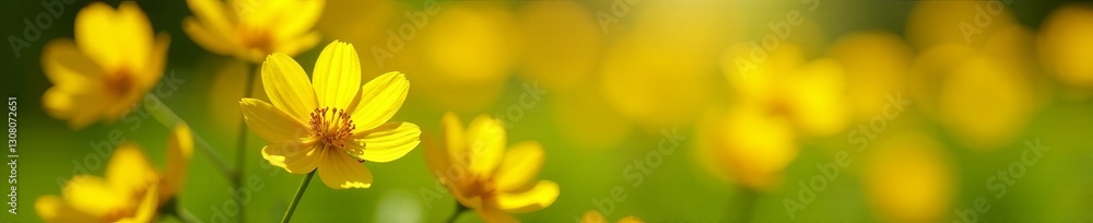 Close-up of delicate yellow blooms in a sunny garden, floral, plant Close-up of delicate yellow blooms in a sunny garden, floral, plant