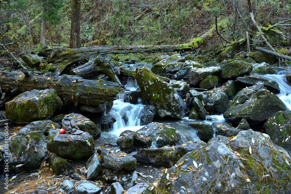 A mountain stream makes its way through a pile of moss-covered rocks in a dense forest on a cloudy autumn morning. A mountain stream makes its way through a pile of moss-covered rocks in a dense forest on a cloudy autumn morning.