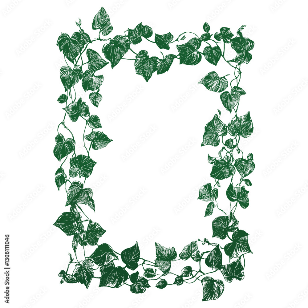 Fototapeta premium A cute frame made of leaves vines leaf illustration green vector