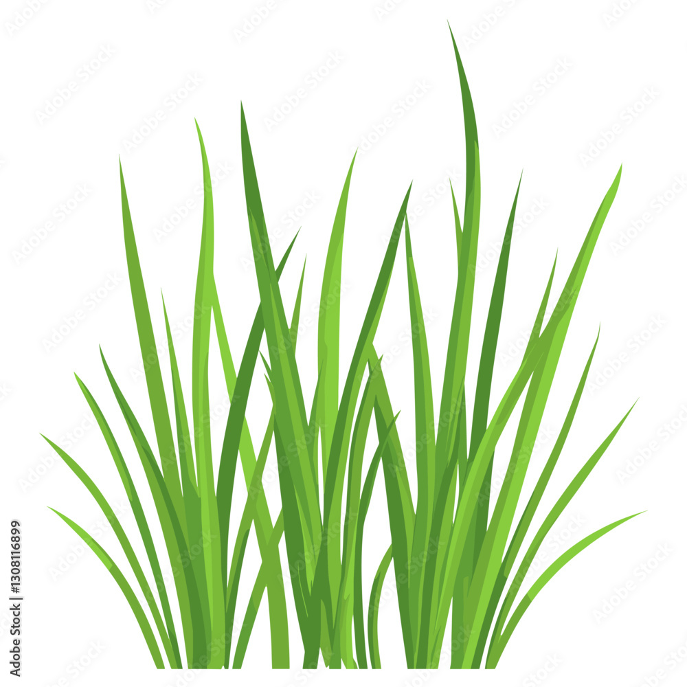 Grass illustration plant art vector Grass illustration plant art vector