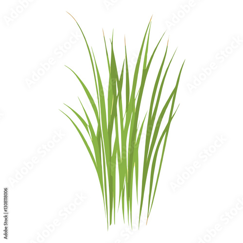 Flat vector of green grass plant illustration vegetation vector