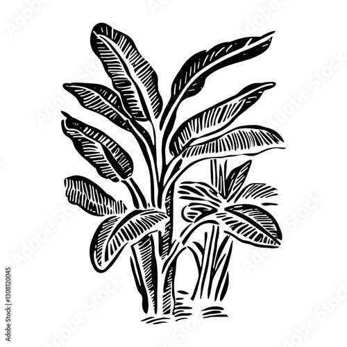 Banana tree art drawing plant vector