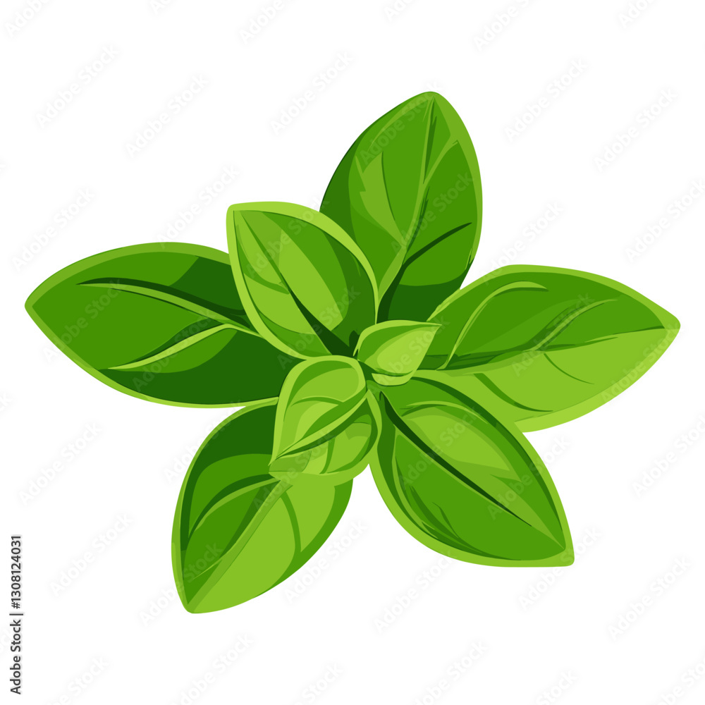 Leaves leaf illustration culinary vector Leaves leaf illustration culinary vector