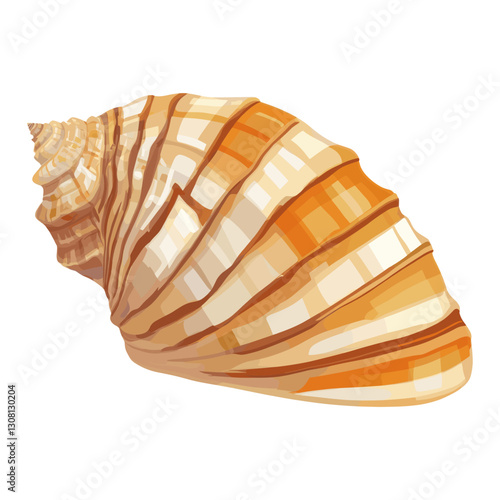 Sea shell illustration seashell art vector