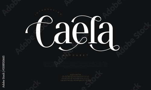 Caela Elegant Font Uppercase Lowercase And Number. Classic Lettering Minimal Fashion Designs. Typography modern serif fonts regular decorative vintage concept. vector illustration