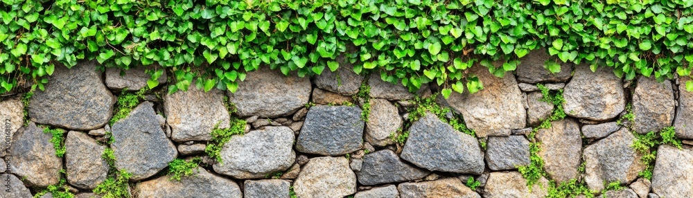 Green plants growing on a stone wall, captivating blend of nature and architecture. explore the textures admire the resilience of in urban spaces. Green plants growing on a stone wall, captivating blend of nature and architecture. explore the textures admire the resilience of in urban spaces.